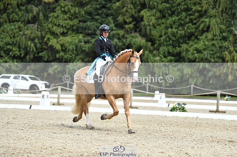 230812-142251-04685 - Cls 7 FEI PSG Bronze