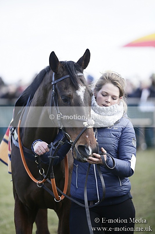 PtP 040218 72 - Point-to-Point Milborne St Andrew 04/02/18