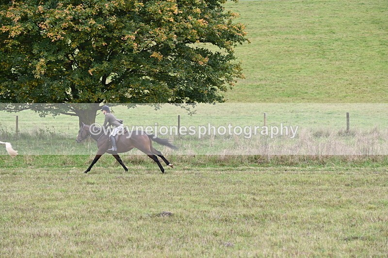 WJ6_1435 - Camera 2 Line 2