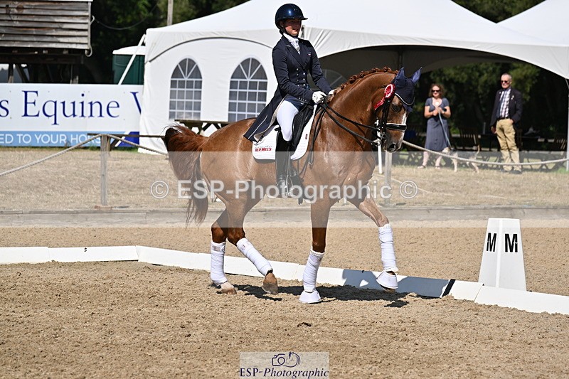 250810A-152901-08041 - Intermediate I GOLD Presentations