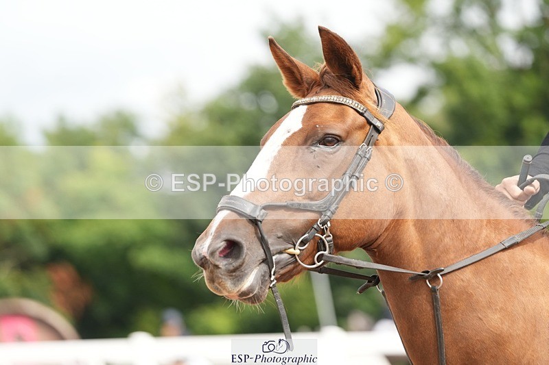 250731-103258-01397 - Cls 08  85cm Nat Am Qual