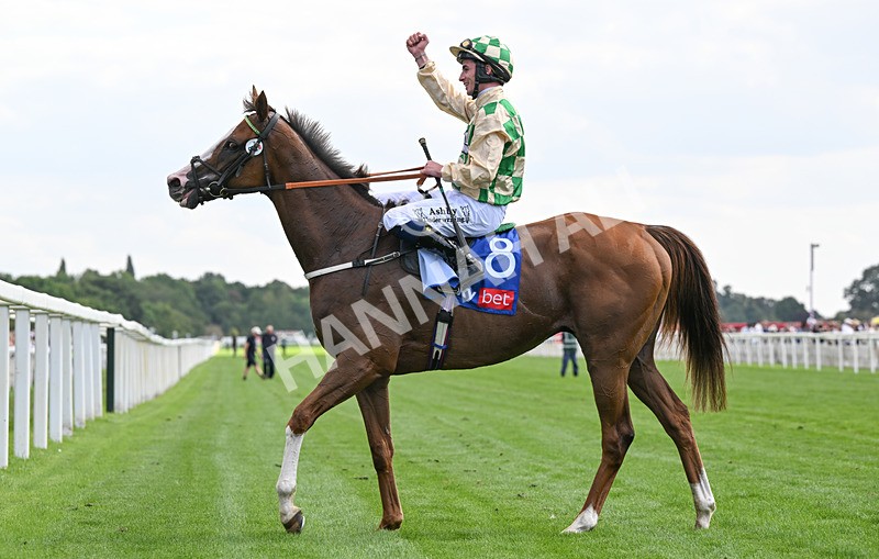 220826-157 Daiquiri Bay - Race 4 15.35pm Sky Bet Ebor Handicap