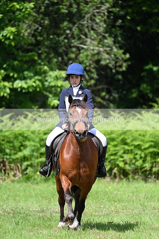 WJ7_1186 - Class 11 Condition & Turnout