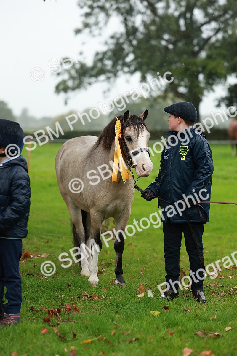 SBM_34943 - S10 - Best In Hand Horse & Pony