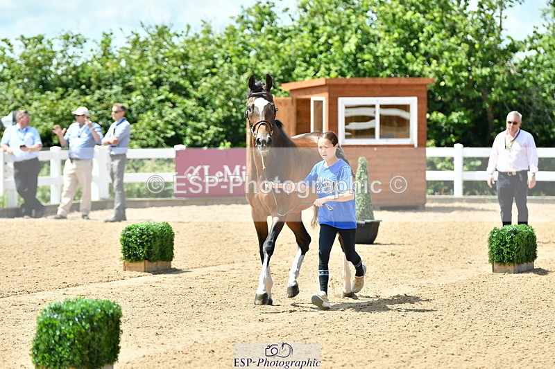230719A-130752-00281 - Trot Up 1pm to 2pm