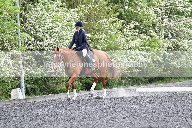 WJ7_0752 - Time 14:01 to 14:12