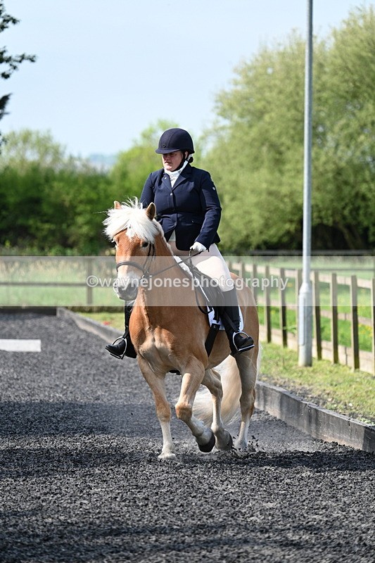 WJ7_7976 - Time 10:11 to 10:27