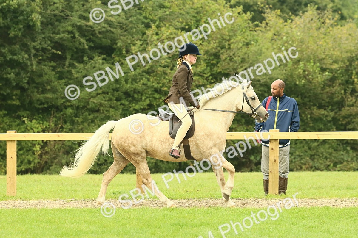 SBM_71910 - S60 - Mountain & Moorland Ridden Large Breeds