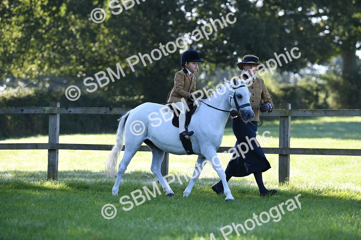 SBM_35362 - S17 - Condition & Turnout - Lead Rein