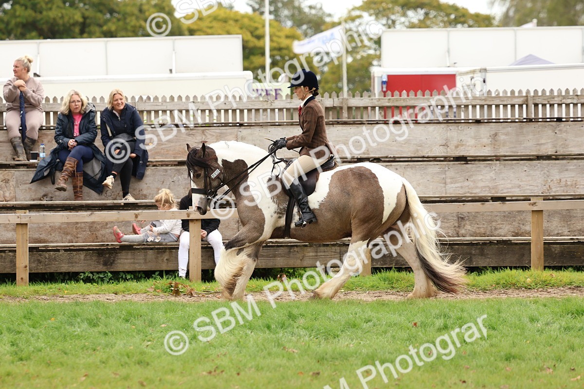 SBM_64498 - S58 - Coloured Pony Ridden