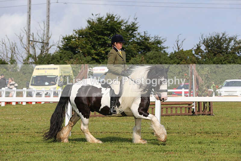 1X9A3352 - Class 28: Ridden Native/Trad Coloured Pony