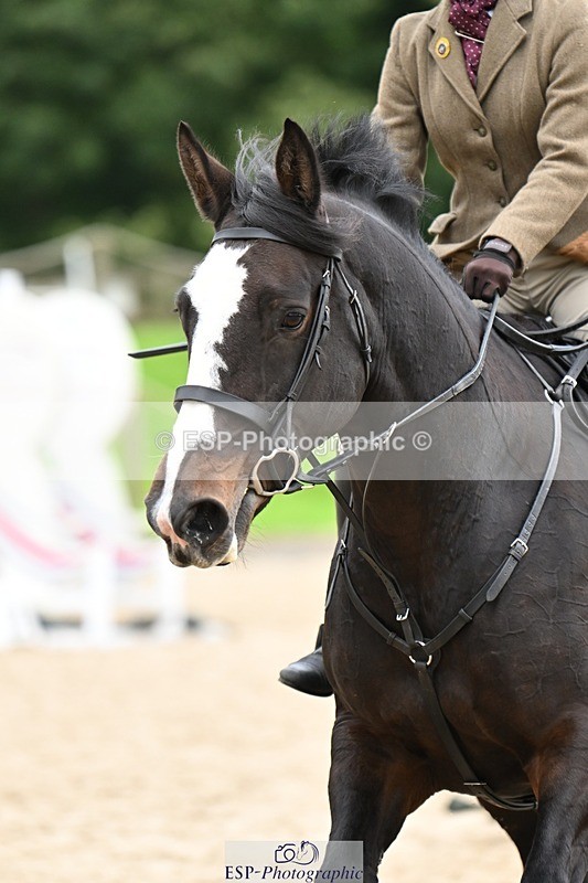 240929-100715-00198 - Cls 1 70-75cm