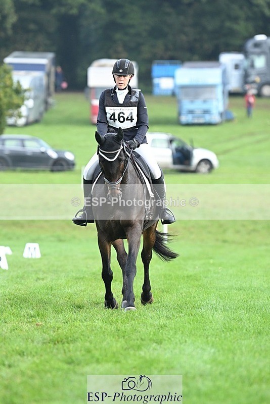 231020-094250-05735 - 464-IMPERIAL.TANGLE-Deborah.Burrell-DR