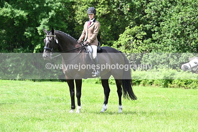 WJ7_1325 - Class 11 Condition & Turnout