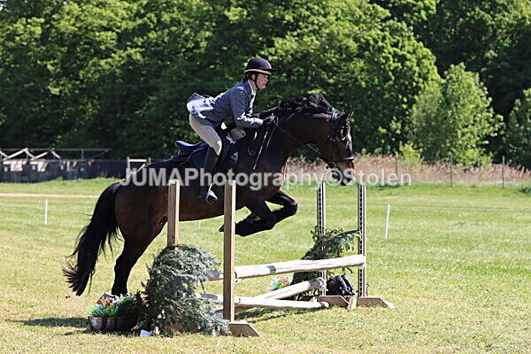 IMG_4002 - Working Hunter