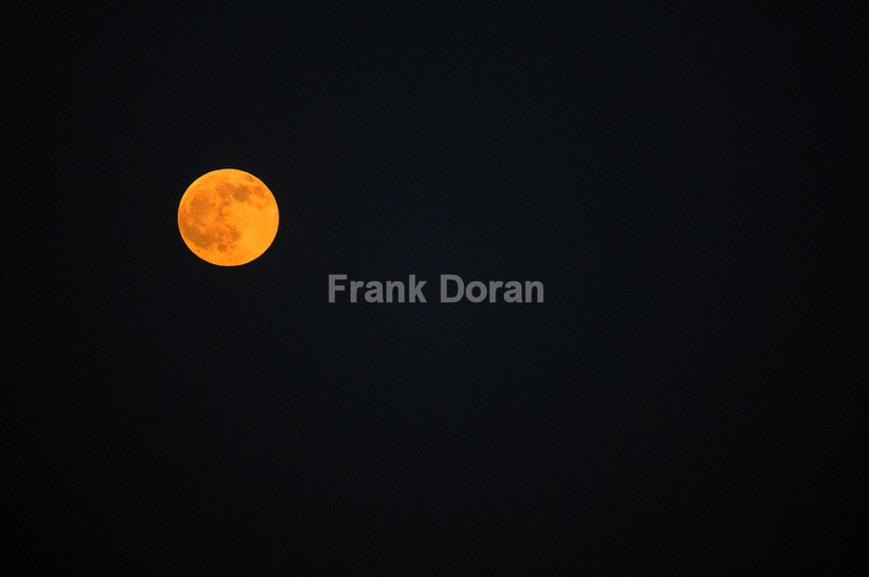 THE MOON - Frank Doran