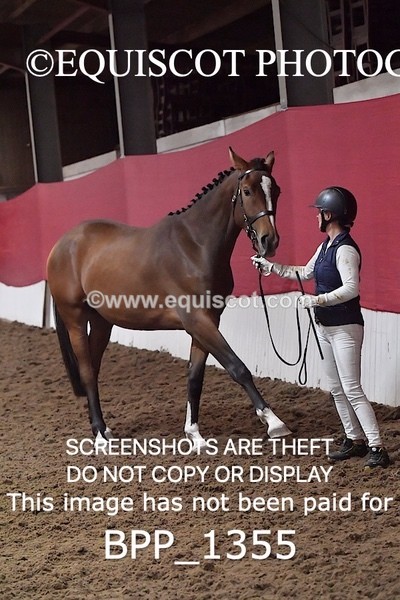 BPP_1355 - MORNING 9AM - 12PM