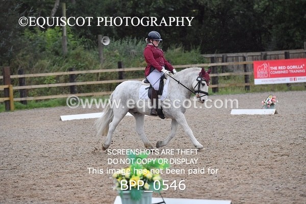 BPP_0546 - MFS PRELIM & NOV