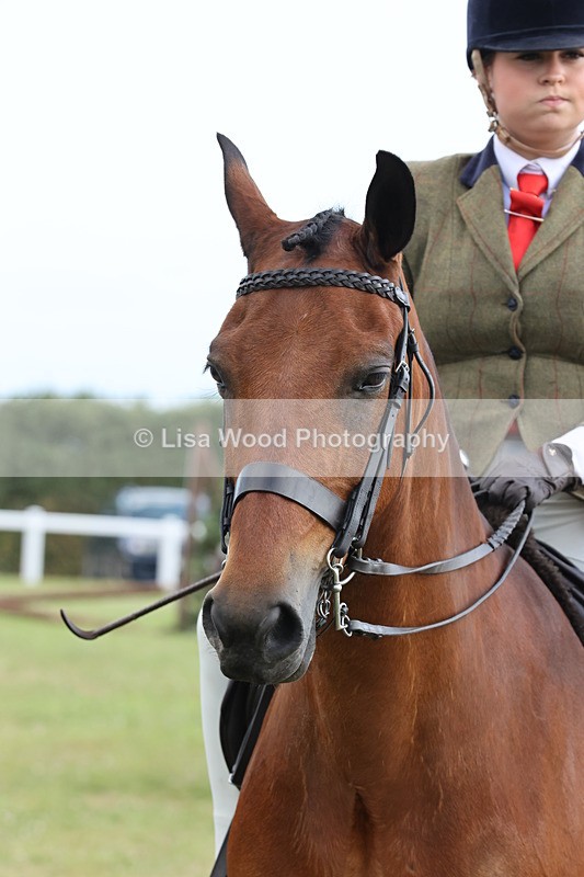JPP_0952 - Class 16: Cornish Combination Young Rider