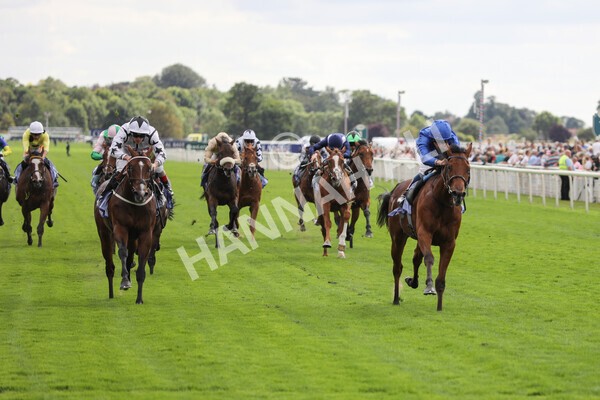 yr19082022r3-27 - Race 3 3.00pm Al Basti Equiworld Dubai Gimcrack Stakes