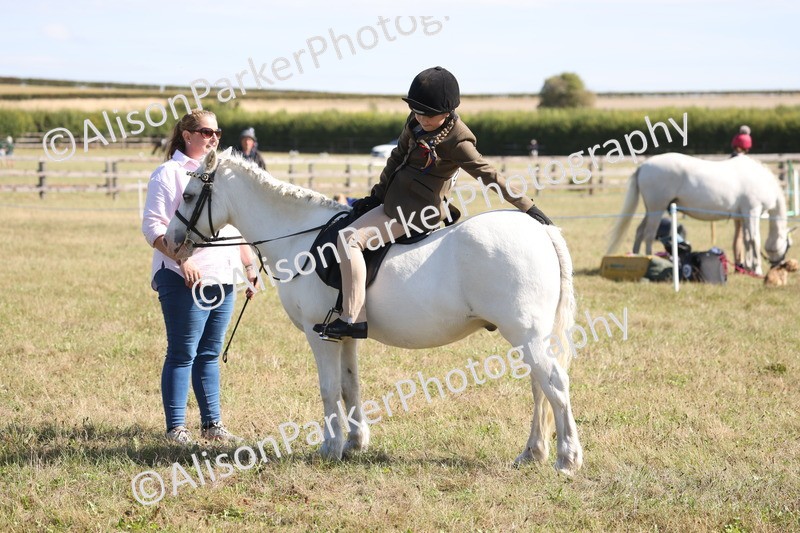 20260906-2266 - Class 16 - Family Pony