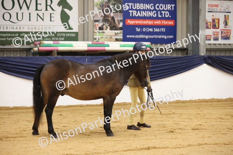 20260913-1108 - Class 110 - Bred In Other In Hand