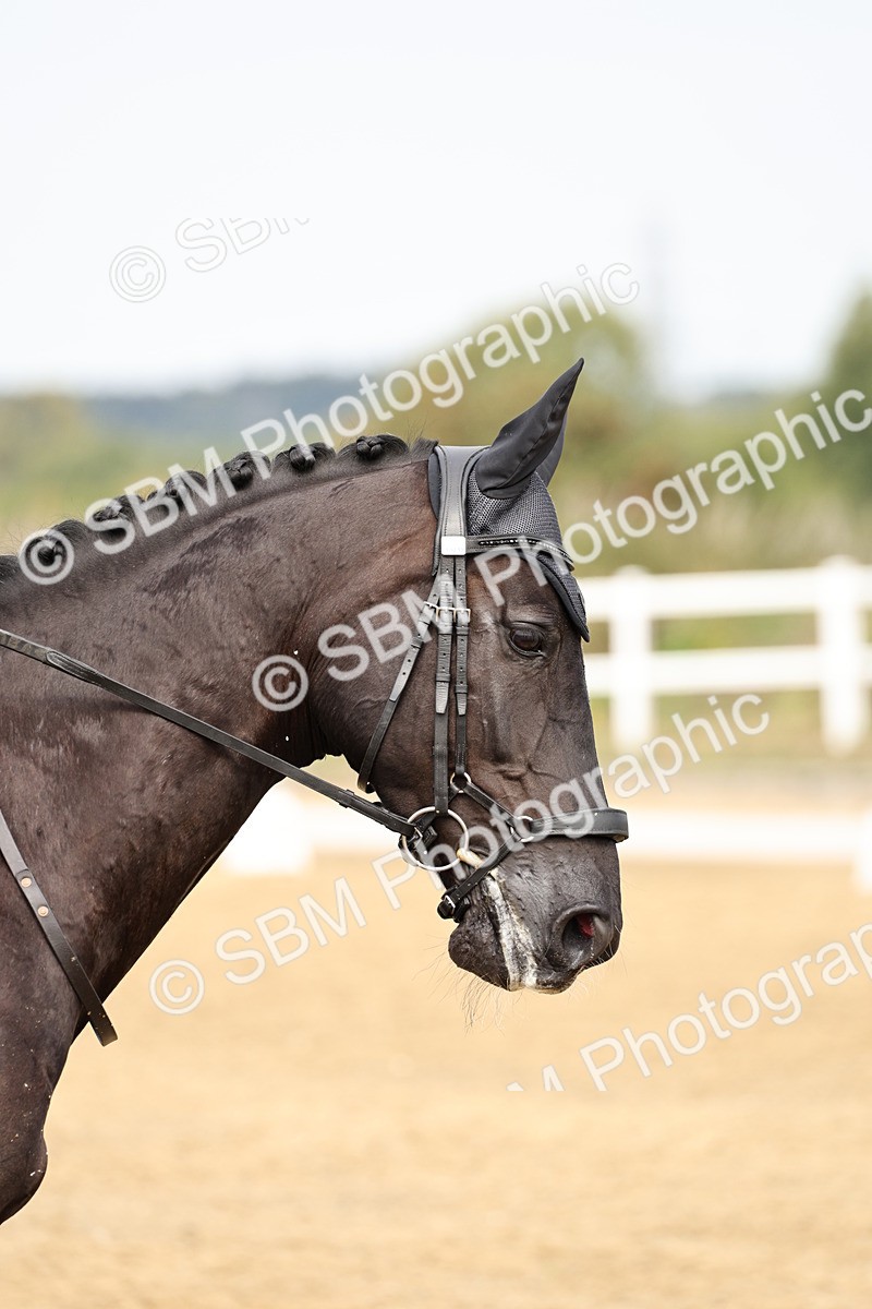 SBM_012379 - Class 2 - Prelim 5