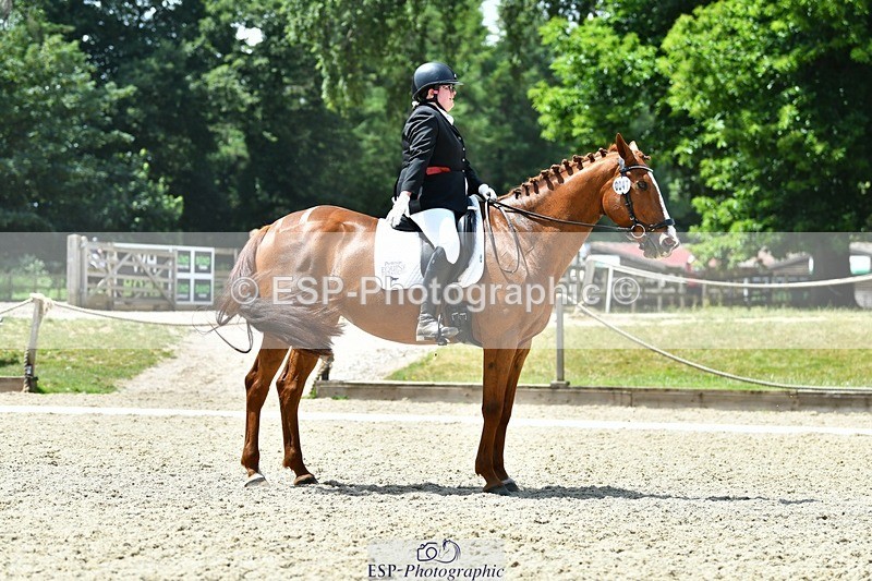 230623-125546-02289 - Cls 4 Novice 37Q 12.45 to End