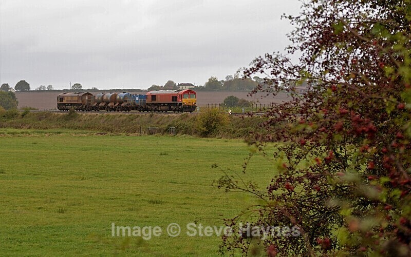 22nd Oct 2022 - Curry Rivel (Oathe, Wick), Somerset