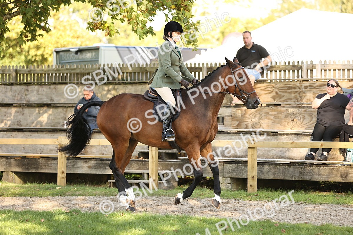 SBM_26466 - S6 - Novice & Newcomers Ridden Horse