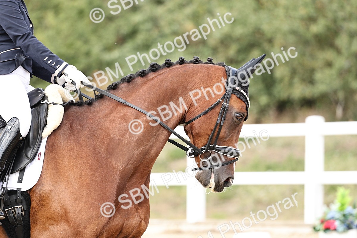 SBM_019540 - Class 18 - Elementary 5