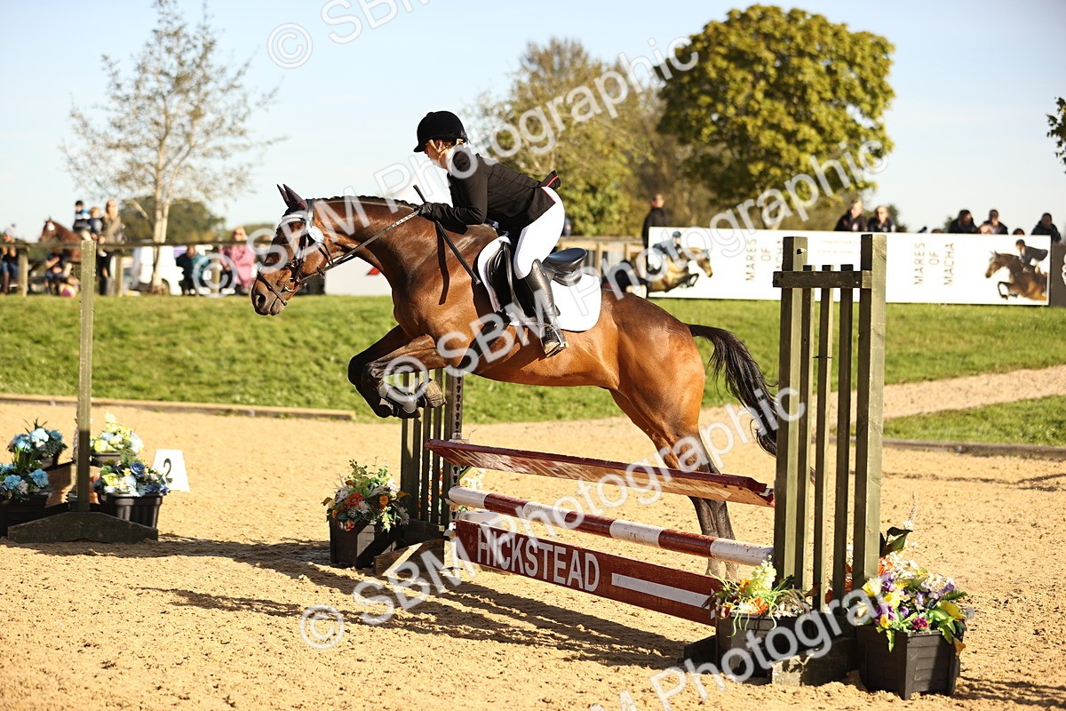 SBM_35144 - J38 - Senior 80cm Championship