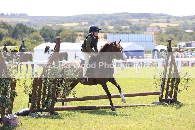 JPP_2226 - Class 20: Tiny Tots Working Hunter Pony