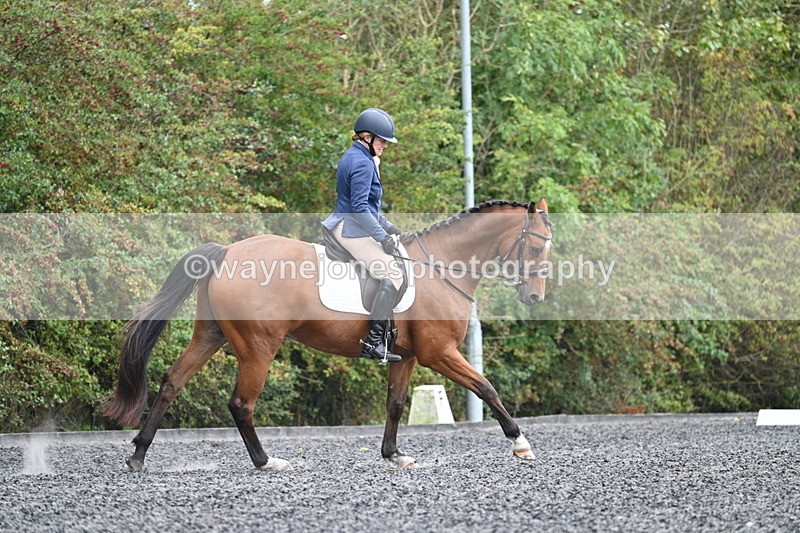 WJ7_4373 - Time 11:43 to 12:09