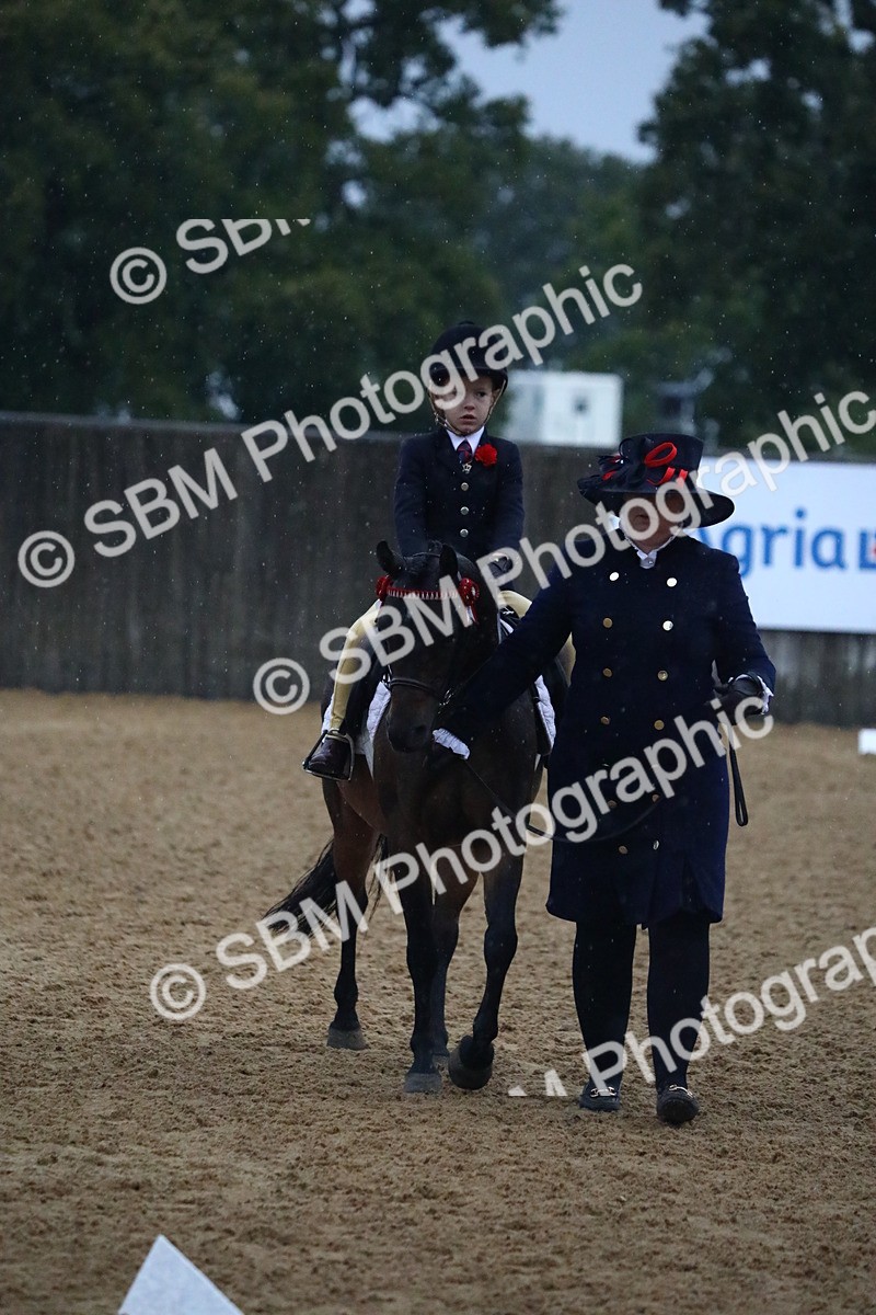 SBM_34692 - D26 - Starters Lead Rein