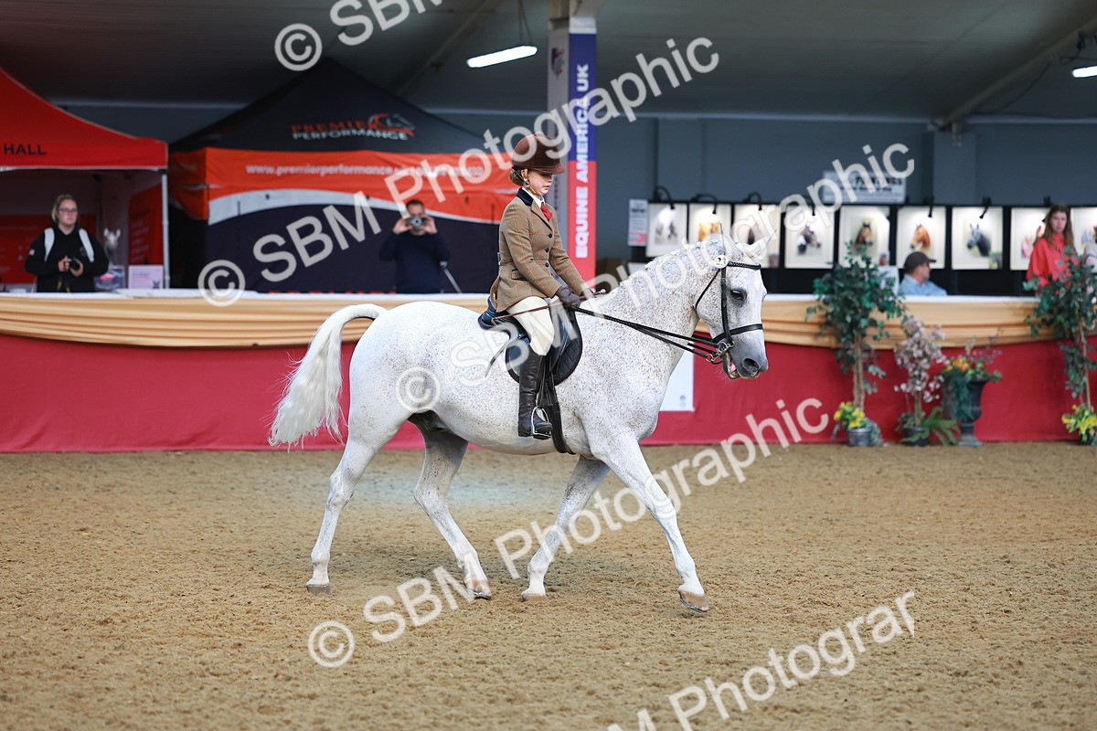 SBM_09496 - Class 102 - HOYS Veteran Qualifier - Ridden Veteran