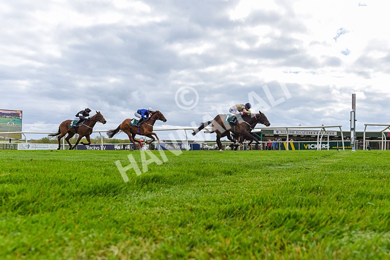 240424-Race 2-Restless Prince-3463 - Race 2