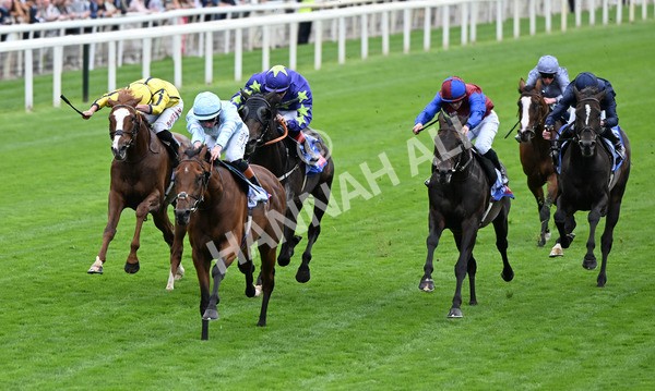 200825-087 Pride Of Arras - Race 3 3.00pm Sky Bet Great Voltigeur Stakes