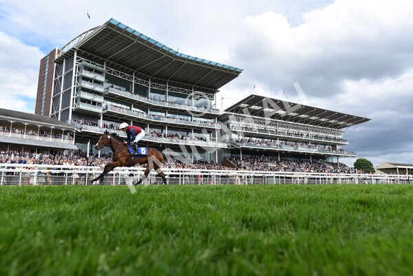 yr21052022r5-30 - Race 5: 4:07pm Phoebe Johnson Celebration EBF Restricted Novice Stakes