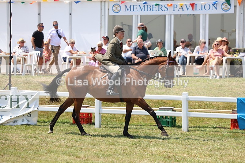 3E7A9312 - Class 12: Open Racehorse to Show Horse