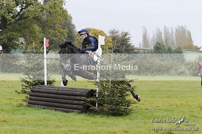 WWHT 181020 WWHT 181020 474 - WWEC Open Novice (0.80m) 18/10/20