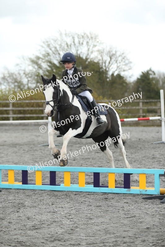 20260412-0631 - Show Jumping
