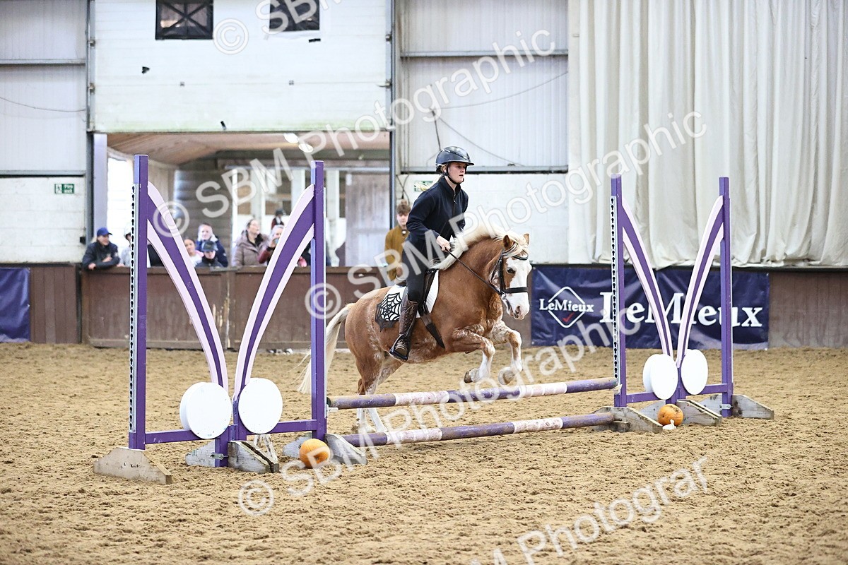 SBM_000238 - Class 2 - Show Jumping 50cm