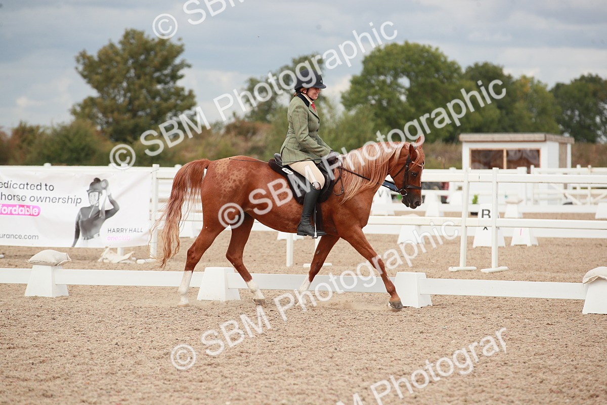 SBM_05999 - Class 32 - Novice 1