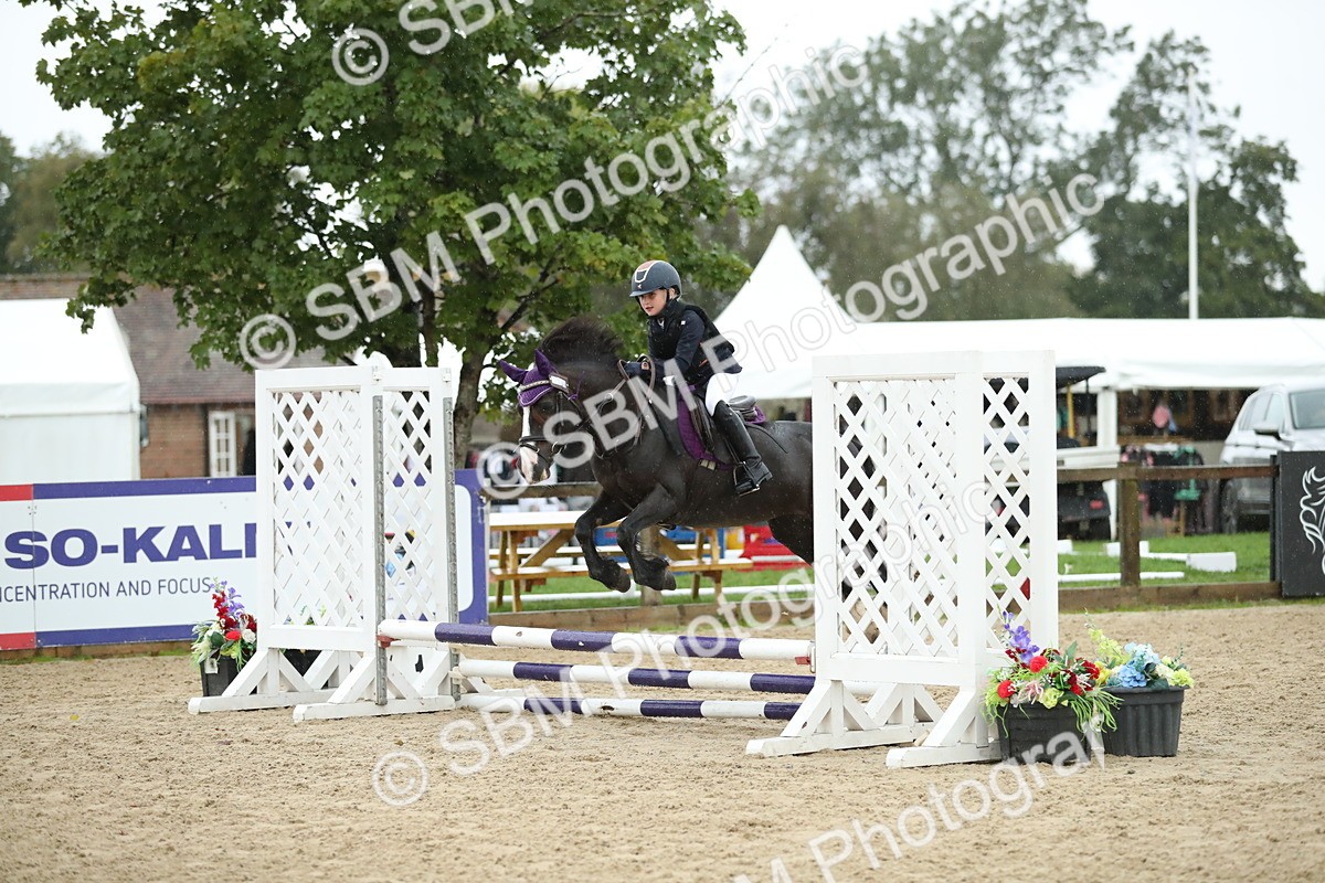 SBM_34339 - J60 Clear Round 50cm