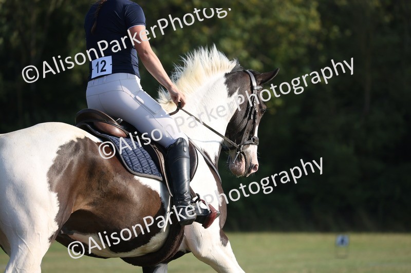 20250731-0123 - Class 2 - Prelim 3