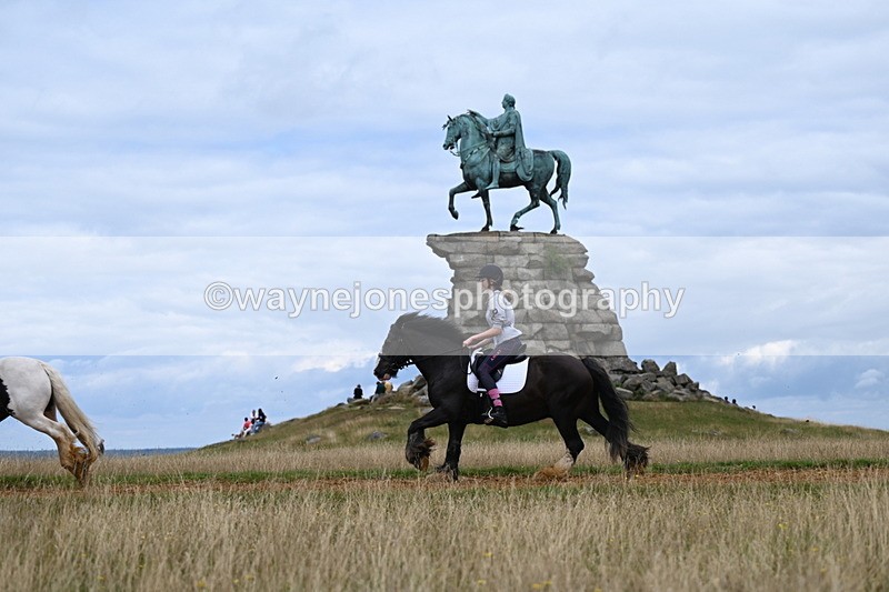 DSC_6678 - Time at Statue 12:45 to 13:15