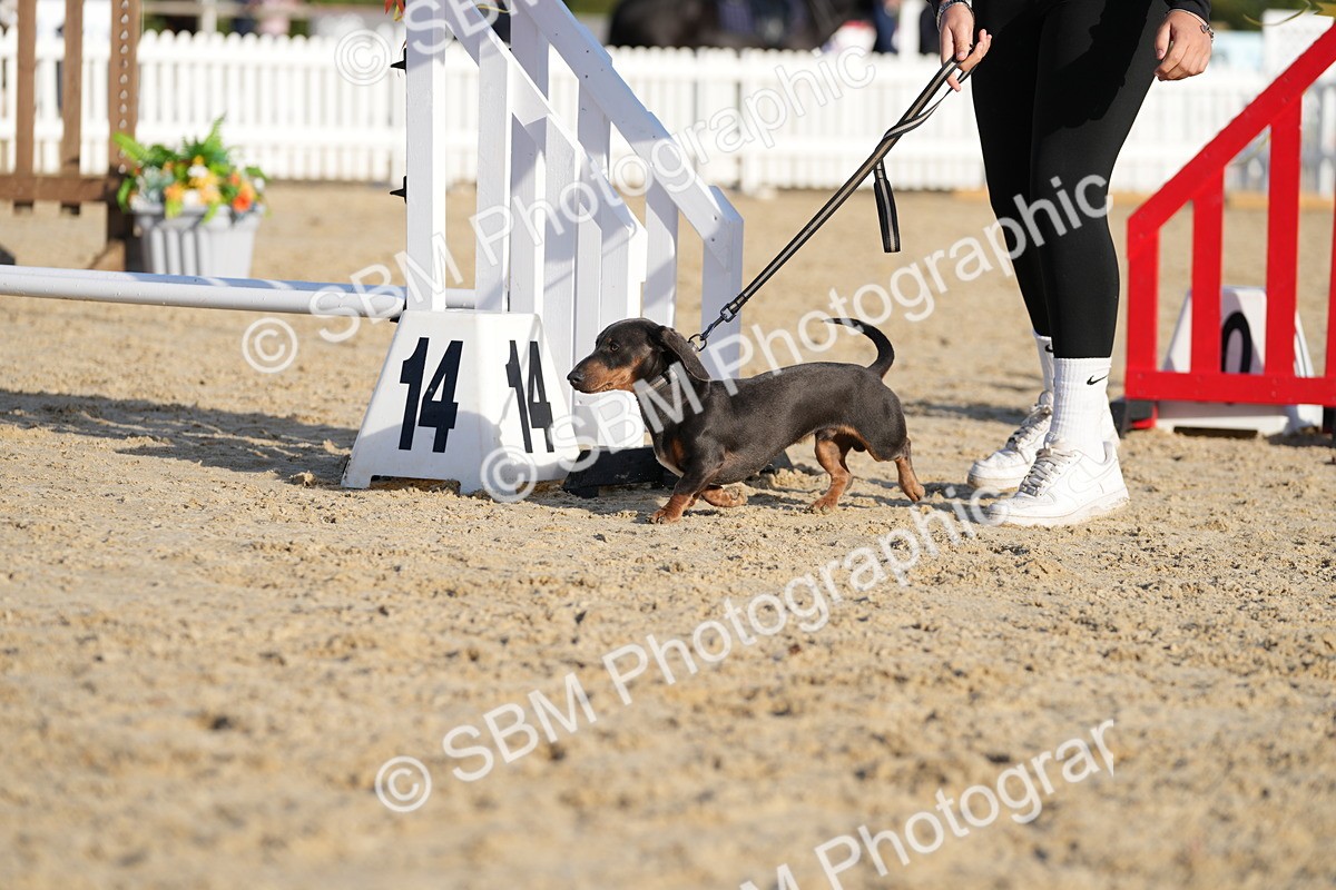 SBM_29035 - J43 - Horse & Hound Open 50cm