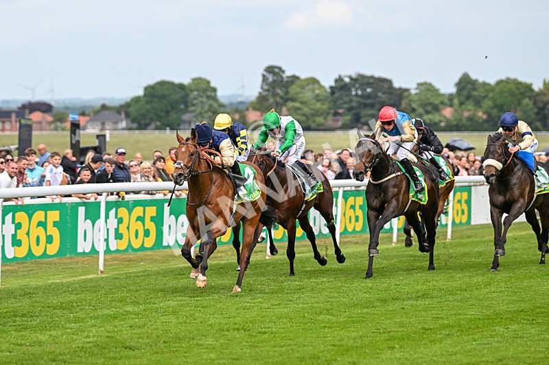 240525-Race 3-Old Is Gold-0884 - Race 3