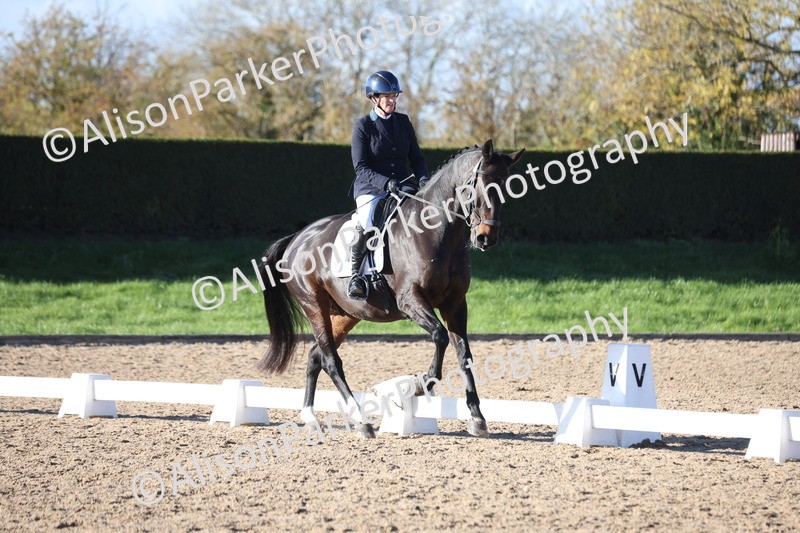 20251102-0980 - Class 5 - Elementary 5